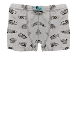 Alternative view of Παιδικό Μποξεράκι Cars