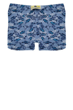 Alternative view of Παιδικό Μποξεράκι Fish